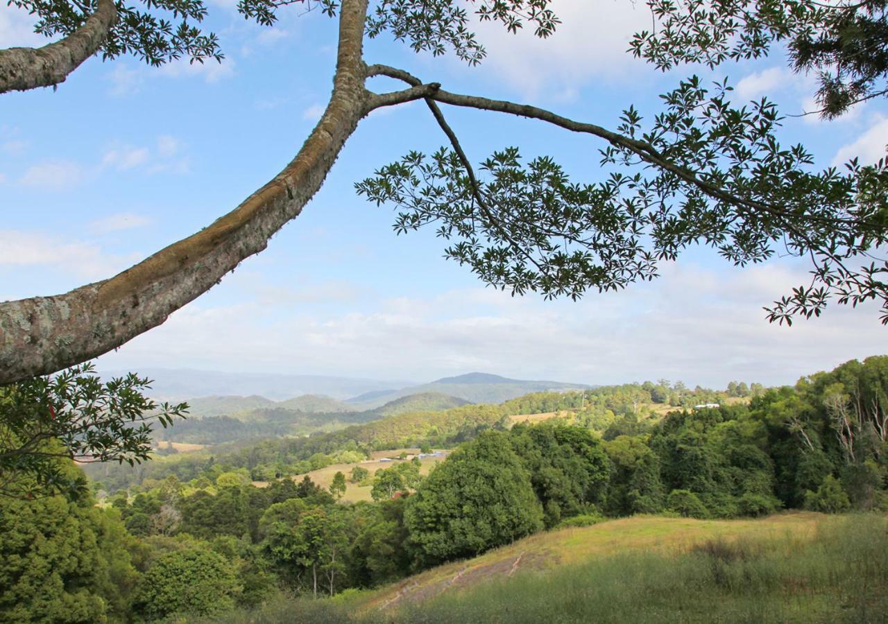 WittaMaleny Hinterland Escapeアパートメント エクステリア 写真